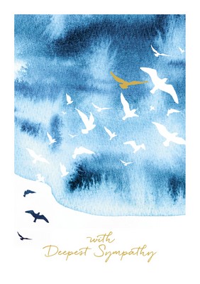 SY- Birds
